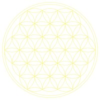 Leo Studer Coaching Logo