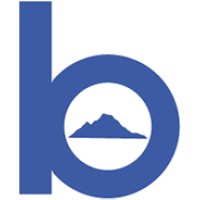 Bellingham Research Institute Logo