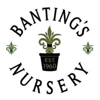 Bantings Nursery Logo