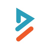 Professional Data Skills Logo