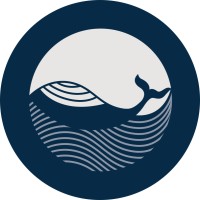 Rising Tide Logo