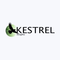 Kestrel Insights Logo