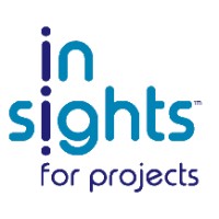 Brightminds Insights for Projects Logo