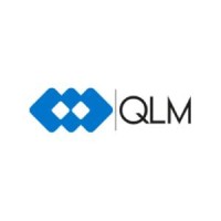 QLM GLOBAL Logo