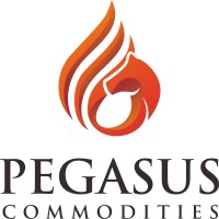 Pegasus Commodities, LLC Logo