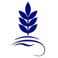 Changemaker Institute Logo
