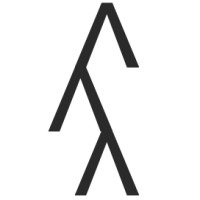 vizrm Logo