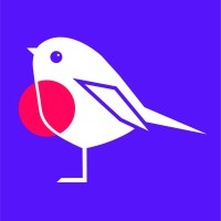 Robin Consulting Logo