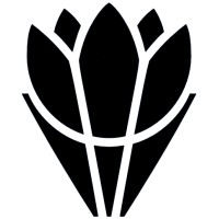 Midsummer Logo