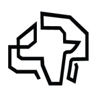 APRI - Africa Policy Research Institute Logo