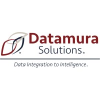 Datamura Solutions Logo