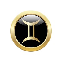Gêmeos Consultoria Bancária Logo