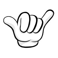 Leucate Skimboard School Logo