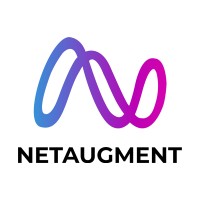 NetAugment IT Solutions Logo