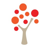 Learnmore Network Limited Logo