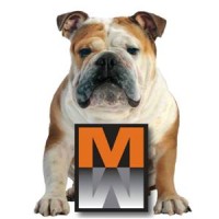 Master Wall Inc. Logo