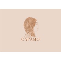 CAPAMO INVESTMENT LIMITED Logo