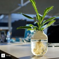 Tot’ le totem végétal Logo