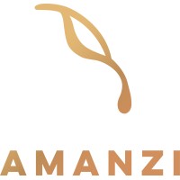 AMANZI Applied Engineering Logo