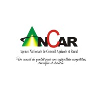 ANCAR Logo