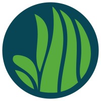 TurfChile Logo