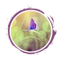 Live Joy Coaching Logo