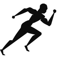 Chasing Solutions IT Services Logo