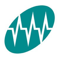 Nordic Service Group Logo