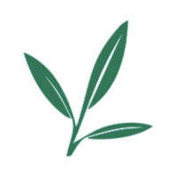 Life Progress Logo