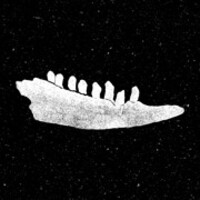 Mandíbula Logo