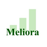 Meliora - Management Consulting Logo