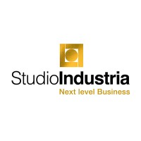 Studio Industria, The Next Level Business Logo