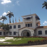 Embrapa Mandioca e Fruticultura Logo