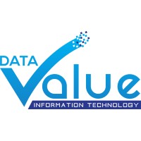 Data Value Information Technology llc Logo