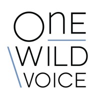 One Wild Voice - Brand Consulting & Management Logo