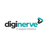DigiNerve Logo