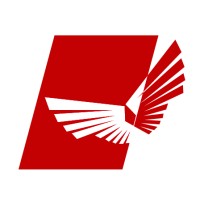 Stefano Angiolini Logo