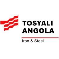 Tosyalı Iron & Steel Angola S.A. Logo