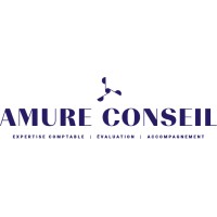 AMURE CONSEIL Logo