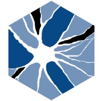 Threshold NeuroDiagnostics Logo