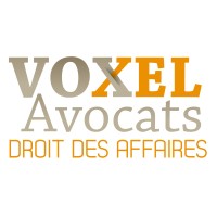 Voxel Avocats Logo