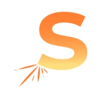 Data Spark, Inc. Logo