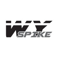 WySpike Roundnet LLC Logo