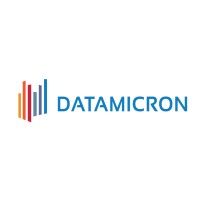 DataMicron Logo