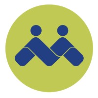 PMFS Business Consultancy Logo