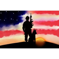Veteran Sheepdogs of America Logo