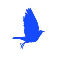 Bluebirders Logo