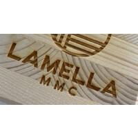 Lamella MMC Limited Logo