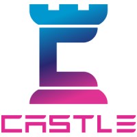 Castle Technology Solutions Logo