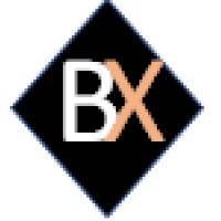BX CONSULTING Logo